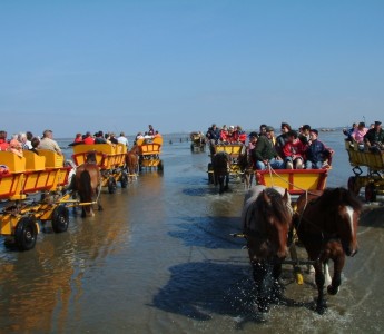 Die Wattwagen nach Neuwerk